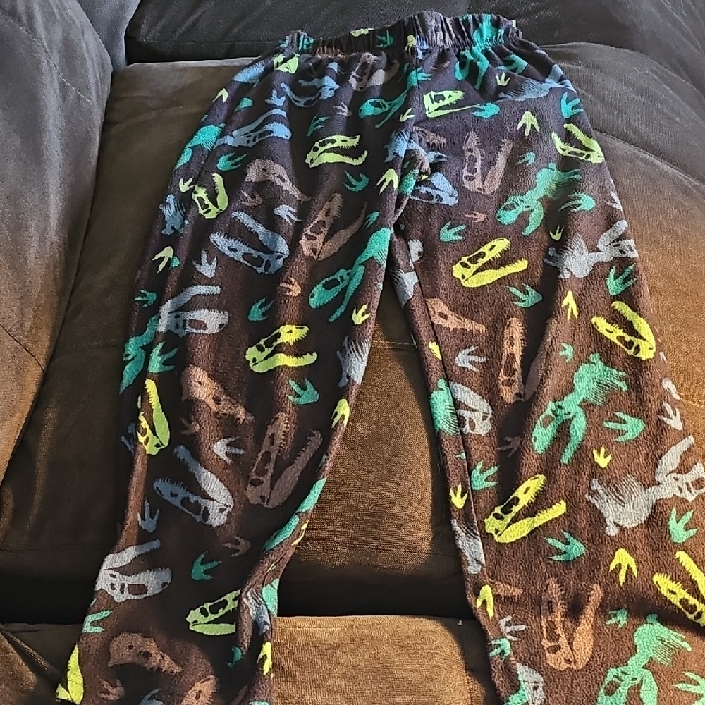 Dinosaur pajama pants